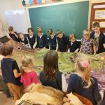 Iskolában az erdő?