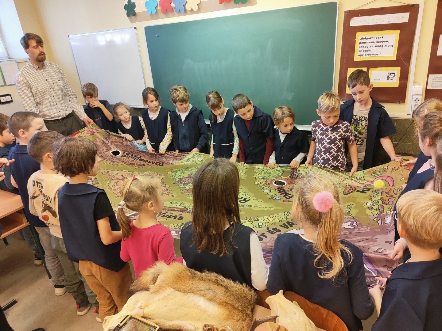 Iskolában az erdő?